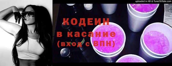 мдпв Верхний Тагил